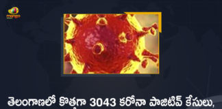 Coronavirus, Coronavirus Breaking News, Coronavirus Latest News, COVID-19, telangana, Telangana Coronavirus, Telangana Coronavirus Cases, Telangana Coronavirus Deaths, Telangana Coronavirus New Cases, Telangana Coronavirus News, Telangana New Positive Cases, Total COVID 19 Cases