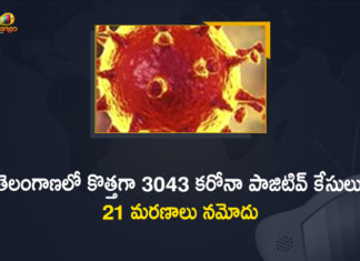 Coronavirus, Coronavirus Breaking News, Coronavirus Latest News, COVID-19, telangana, Telangana Coronavirus, Telangana Coronavirus Cases, Telangana Coronavirus Deaths, Telangana Coronavirus New Cases, Telangana Coronavirus News, Telangana New Positive Cases, Total COVID 19 Cases