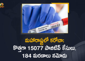 Corona Positive Cases in Maharashtra, Corona Positive Cases In Maharashtra, Maharashtra, Maharashtra , Maharashtra Corona, Maharashtra Corona Cases, Maharashtra Corona Deaths, Maharashtra Corona Positive Cases, Maharashtra Coronavirus, Maharashtra Coronavirus Positive Cases, Maharashtra Coronavirus Updates, Maharashtra COVID 19,mango news