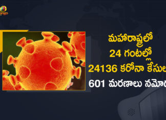 Corona Positive Cases in Maharashtra, Corona Positive Cases In Maharashtra, Maharashtra, Maharashtra , Maharashtra Corona, Maharashtra Corona Cases, Maharashtra Corona Deaths, Maharashtra Corona Positive Cases, Maharashtra Coronavirus, Maharashtra Coronavirus Positive Cases, Maharashtra Coronavirus Updates, Maharashtra COVID 19,mango news