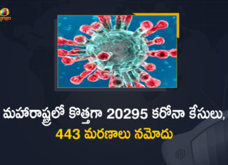 Corona Positive Cases in Maharashtra, Corona Positive Cases In Maharashtra, Maharashtra, Maharashtra , Maharashtra Corona, Maharashtra Corona Cases, Maharashtra Corona Deaths, Maharashtra Corona Positive Cases, Maharashtra Coronavirus, Maharashtra Coronavirus Positive Cases, Maharashtra Coronavirus Updates, Maharashtra COVID 19,mango news