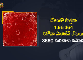 Coronavirus Cases, coronavirus cases in india state wise, coronavirus cases in india today state wise, coronavirus cases india, coronavirus india, India Coronavirus, India Covid-19 Updates, New Confirmed Corona Cases, total corona cases in india today, total corona positive in india,mango news