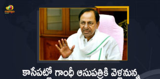CM KCR to Visit Gandhi Hospital Today to Monitor Covid-19 Health Services,Mango News,Mango News Telugu,KCR visits Gandhi Hospital,CM KCR to visit Gandhi Hospital,CM KCR On Covid-19 Situation,CM KCR Visits Gandhi Hospital LIVE,Hyderabad,CM KCR to visit Gandhi Hospital today,Gandhi Hospital,Hyderabad Gandhi Hospital,Telangana CM KCR visits Gandhi Hospital,CM KCR interacts with Covid patients,CM KCR Visits Gandhi Hospital LIVE,CM KCR visits Gandhi hospital Hyderabad,CM KCR Visits Gandhi Hospital Secunderabad,KCR Visits Gandhi Hospital,CM KCR,Telangana CM KCR,Telangana News,CM KCR Live,Telangana State,CM KCR Live Updates,CM KCR Latest,CM KCR Latest News,CM KCR Latest Updates,CM KCR Speech,CM KCR Live Pressmeet,CM KCR Pressmeet,CM KCR Pressmeet Live,KCR,Telangana News