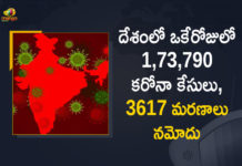 Coronavirus Cases, coronavirus cases in india state wise, coronavirus cases in india today state wise, coronavirus cases india, coronavirus india, India Coronavirus, India Covid-19 Updates, New Confirmed Corona Cases, total corona cases in india today, total corona positive in india,mango news