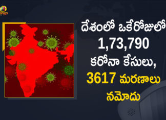 Coronavirus Cases, coronavirus cases in india state wise, coronavirus cases in india today state wise, coronavirus cases india, coronavirus india, India Coronavirus, India Covid-19 Updates, New Confirmed Corona Cases, total corona cases in india today, total corona positive in india,mango news