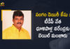 AP High Court, AP High court granted bail to TDP leader, AP High Court Granted Bail to TDP Leader Dhulipalla Narendra in Sangam Dairy Case, AP High Court grants conditional bail to Dhulipalla Narendra, Bail to TDP Leader Dhulipalla Narendra in Sangam Dairy Case, Dhulipalla gets bail in Sangam dairy case, Dhulipalla Narendra, Mango News, Sangam Dairy Case, Sangam Dairy Case news, TDP Leader Dhulipalla Narendra Bail, TDP Leader Dhulipalla Narendra in Sangam Dairy Case
