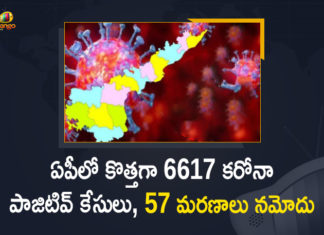 Andhra Pradesh, Andhra Pradesh COVID-19 Daily Bulletin, Andhra Pradesh Department of Health, ap coronavirus cases today, ap coronavirus cases total, ap coronavirus updates district wise, AP COVID 19 Cases, AP Total Positive Cases, COVID-19, COVID-19 Daily Bulletin, Total Corona Cases In AP,mango news