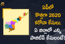 Andhra Pradesh, Andhra Pradesh COVID-19 Daily Bulletin, Andhra Pradesh Department of Health, ap coronavirus cases today, ap coronavirus cases total, ap coronavirus updates district wise, AP COVID 19 Cases, AP Total Positive Cases, COVID-19, COVID-19 Daily Bulletin, Total Corona Cases In AP,mango news