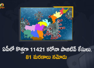 Andhra Pradesh, AP Corona Cases, AP Corona Positive Cases, AP Coronavirus, AP COVID 19 Cases, AP Total Positive Cases, Corona Positive Cases, Coronavirus, Coronavirus state-wise count in India, COVID-19, State wise Corona Positive Cases, State-wise Corona Positive Cases List in India, telangana, Telangana Coronavirus, Telangana Coronavirus Death