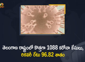 Coronavirus, COVID-19, Covid-19 Updates in Telangana, telangana corona district wise cases, telangana coronavirus cases district wise, telangana coronavirus cases today, telangana coronavirus cases today district wise, telangana coronavirus district wise, telangana coronavirus district wise List, Telangana Coronavirus News, telangana covid cases today bulletin, telangana covid cases today list,mango news