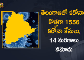 Coronavirus Cases, coronavirus cases india, coronavirus india, coronavirus india live updates, Coronavirus India News LIVE Updates, COVID-19 pandemic in India, India Coronavirus, India Covid-19 Updates, total corona cases in india today, Total Corona Positive Cases in India, total corona positive in india