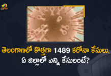 Coronavirus, COVID-19, Covid-19 Updates in Telangana, telangana corona district wise cases, telangana coronavirus cases district wise, telangana coronavirus cases today, telangana coronavirus cases today district wise, telangana coronavirus district wise, telangana coronavirus district wise List, Telangana Coronavirus News, telangana covid cases today bulletin, telangana covid cases today list,mango news