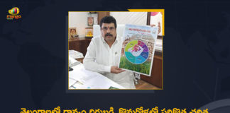 Mango News, Paddy cultivation, Paddy Procurement, Paddy procurement across Telangana, Telangana Govt Procured 1.4 Crore Metric Tonnes, Telangana Govt Procured 1.4 Crore Metric Tonnes Paddy, Telangana Govt Procured 1.4 Crore Metric Tonnes Paddy in 2020-21, Telangana Govt Procured 1.4 Crore Metric Tonnes Paddy in 2020-21 Total Season, Telangana registers 2.37 crore metric tonnes of paddy yield, Telangana sets new record in paddy procurement, Telangana sets new record in paddy procurement in Kharif