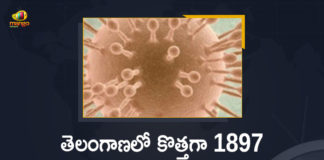 Coronavirus, COVID-19, Covid-19 Updates in Telangana, telangana corona district wise cases, telangana coronavirus cases district wise, telangana coronavirus cases today, telangana coronavirus cases today district wise, telangana coronavirus district wise, telangana coronavirus district wise List, Telangana Coronavirus News, telangana covid cases today bulletin, telangana covid cases today list,mango news