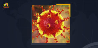 Coronavirus, COVID-19, Covid-19 Updates in Telangana, telangana corona district wise cases, telangana coronavirus cases district wise, telangana coronavirus cases today, telangana coronavirus cases today district wise, telangana coronavirus district wise, telangana coronavirus district wise List, Telangana Coronavirus News, telangana covid cases today bulletin, telangana covid cases today list,mango news