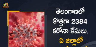 Coronavirus, COVID-19, Covid-19 Updates in Telangana, telangana corona district wise cases, telangana coronavirus cases district wise, telangana coronavirus cases today, telangana coronavirus cases today district wise, telangana coronavirus district wise, telangana coronavirus district wise List, Telangana Coronavirus News, telangana covid cases today bulletin, telangana covid cases today list,mango news