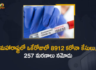 Corona Positive Cases in Maharashtra, Corona Positive Cases In Maharashtra, Maharashtra, Maharashtra , Maharashtra Corona, Maharashtra Corona Cases, Maharashtra Corona Deaths, Maharashtra Corona Positive Cases, Maharashtra Coronavirus, Maharashtra Coronavirus Positive Cases, Maharashtra Coronavirus Updates, Maharashtra COVID 19,mango news