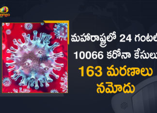Corona Positive Cases in Maharashtra, Corona Positive Cases In Maharashtra, Maharashtra, Maharashtra , Maharashtra Corona, Maharashtra Corona Cases, Maharashtra Corona Deaths, Maharashtra Corona Positive Cases, Maharashtra Coronavirus, Maharashtra Coronavirus Positive Cases, Maharashtra Coronavirus Updates, Maharashtra COVID 19,mango news