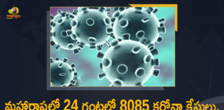 Corona Positive Cases in Maharashtra, Corona Positive Cases In Maharashtra, Maharashtra, Maharashtra , Maharashtra Corona, Maharashtra Corona Cases, Maharashtra Corona Deaths, Maharashtra Corona Positive Cases, Maharashtra Coronavirus, Maharashtra Coronavirus Positive Cases, Maharashtra Coronavirus Updates, Maharashtra COVID 19,mango news