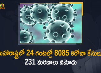 Corona Positive Cases in Maharashtra, Corona Positive Cases In Maharashtra, Maharashtra, Maharashtra , Maharashtra Corona, Maharashtra Corona Cases, Maharashtra Corona Deaths, Maharashtra Corona Positive Cases, Maharashtra Coronavirus, Maharashtra Coronavirus Positive Cases, Maharashtra Coronavirus Updates, Maharashtra COVID 19,mango news