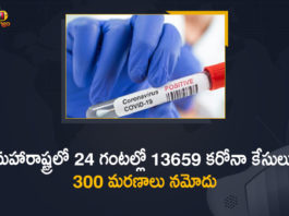 Corona Positive Cases in Maharashtra, Corona Positive Cases In Maharashtra, Maharashtra, Maharashtra , Maharashtra Corona, Maharashtra Corona Cases, Maharashtra Corona Deaths, Maharashtra Corona Positive Cases, Maharashtra Coronavirus, Maharashtra Coronavirus Positive Cases, Maharashtra Coronavirus Updates, Maharashtra COVID 19,mango news