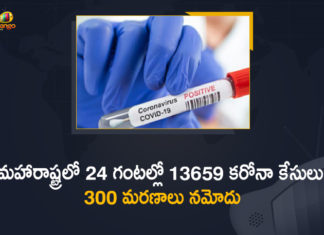 Corona Positive Cases in Maharashtra, Corona Positive Cases In Maharashtra, Maharashtra, Maharashtra , Maharashtra Corona, Maharashtra Corona Cases, Maharashtra Corona Deaths, Maharashtra Corona Positive Cases, Maharashtra Coronavirus, Maharashtra Coronavirus Positive Cases, Maharashtra Coronavirus Updates, Maharashtra COVID 19,mango news