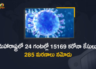 Corona Positive Cases in Maharashtra, Corona Positive Cases In Maharashtra, Maharashtra, Maharashtra , Maharashtra Corona, Maharashtra Corona Cases, Maharashtra Corona Deaths, Maharashtra Corona Positive Cases, Maharashtra Coronavirus, Maharashtra Coronavirus Positive Cases, Maharashtra Coronavirus Updates, Maharashtra COVID 19,mango news