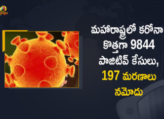 Corona Positive Cases in Maharashtra, Corona Positive Cases In Maharashtra, Maharashtra, Maharashtra , Maharashtra Corona, Maharashtra Corona Cases, Maharashtra Corona Deaths, Maharashtra Corona Positive Cases, Maharashtra Coronavirus, Maharashtra Coronavirus Positive Cases, Maharashtra Coronavirus Updates, Maharashtra COVID 19,mango news