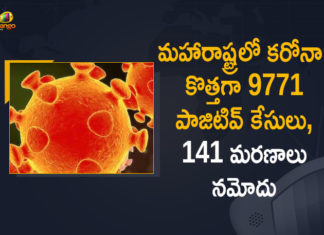 Corona Positive Cases in Maharashtra, Corona Positive Cases In Maharashtra, Maharashtra, Maharashtra , Maharashtra Corona, Maharashtra Corona Cases, Maharashtra Corona Deaths, Maharashtra Corona Positive Cases, Maharashtra Coronavirus, Maharashtra Coronavirus Positive Cases, Maharashtra Coronavirus Updates, Maharashtra COVID 19,mango news