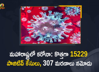 Corona Positive Cases in Maharashtra, Corona Positive Cases In Maharashtra, Maharashtra, Maharashtra , Maharashtra Corona, Maharashtra Corona Cases, Maharashtra Corona Deaths, Maharashtra Corona Positive Cases, Maharashtra Coronavirus, Maharashtra Coronavirus Positive Cases, Maharashtra Coronavirus Updates, Maharashtra COVID 19,mango news