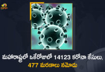 Corona Positive Cases in Maharashtra, Corona Positive Cases In Maharashtra, Maharashtra, Maharashtra , Maharashtra Corona, Maharashtra Corona Cases, Maharashtra Corona Deaths, Maharashtra Corona Positive Cases, Maharashtra Coronavirus, Maharashtra Coronavirus Positive Cases, Maharashtra Coronavirus Updates, Maharashtra COVID 19,mango news