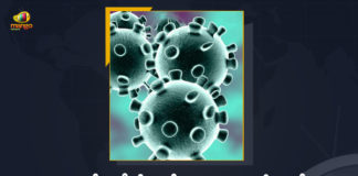 Corona Positive Cases in Maharashtra, Corona Positive Cases In Maharashtra, Maharashtra, Maharashtra , Maharashtra Corona, Maharashtra Corona Cases, Maharashtra Corona Deaths, Maharashtra Corona Positive Cases, Maharashtra Coronavirus, Maharashtra Coronavirus Positive Cases, Maharashtra Coronavirus Updates, Maharashtra COVID 19,mango news