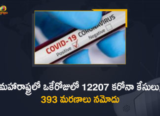 Corona Positive Cases in Maharashtra, Corona Positive Cases In Maharashtra, Maharashtra, Maharashtra , Maharashtra Corona, Maharashtra Corona Cases, Maharashtra Corona Deaths, Maharashtra Corona Positive Cases, Maharashtra Coronavirus, Maharashtra Coronavirus Positive Cases, Maharashtra Coronavirus Updates, Maharashtra COVID 19,mango news