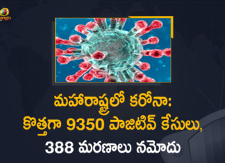 Corona Positive Cases in Maharashtra, Corona Positive Cases In Maharashtra, Maharashtra, Maharashtra , Maharashtra Corona, Maharashtra Corona Cases, Maharashtra Corona Deaths, Maharashtra Corona Positive Cases, Maharashtra Coronavirus, Maharashtra Coronavirus Positive Cases, Maharashtra Coronavirus Updates, Maharashtra COVID 19,mango news
