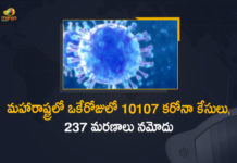 మహారాష్ట్రలో ఒకేరోజులో 10107 కరోనా కేసులు, 237 మరణాలు నమోదు Corona Positive Cases in Maharashtra, Corona Positive Cases In Maharashtra, Maharashtra, Maharashtra , Maharashtra Corona, Maharashtra Corona Cases, Maharashtra Corona Deaths, Maharashtra Corona Positive Cases, Maharashtra Coronavirus, Maharashtra Coronavirus Positive Cases, Maharashtra Coronavirus Updates, Maharashtra COVID 19,mango news