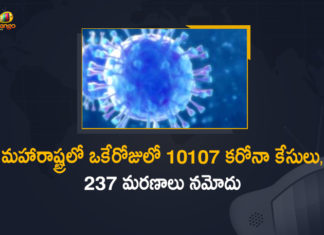 Corona Positive Cases in Maharashtra, Corona Positive Cases In Maharashtra, Maharashtra, Maharashtra , Maharashtra Corona, Maharashtra Corona Cases, Maharashtra Corona Deaths, Maharashtra Corona Positive Cases, Maharashtra Coronavirus, Maharashtra Coronavirus Positive Cases, Maharashtra Coronavirus Updates, Maharashtra COVID 19,mango news