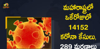 Corona Positive Cases in Maharashtra, Corona Positive Cases In Maharashtra, Maharashtra, Maharashtra , Maharashtra Corona, Maharashtra Corona Cases, Maharashtra Corona Deaths, Maharashtra Corona Positive Cases, Maharashtra Coronavirus, Maharashtra Coronavirus Positive Cases, Maharashtra Coronavirus Updates, Maharashtra COVID 19,mango news