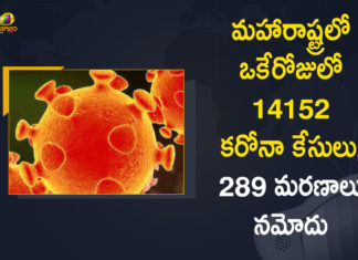 Corona Positive Cases in Maharashtra, Corona Positive Cases In Maharashtra, Maharashtra, Maharashtra , Maharashtra Corona, Maharashtra Corona Cases, Maharashtra Corona Deaths, Maharashtra Corona Positive Cases, Maharashtra Coronavirus, Maharashtra Coronavirus Positive Cases, Maharashtra Coronavirus Updates, Maharashtra COVID 19,mango news