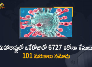 Corona Positive Cases in Maharashtra, Corona Positive Cases In Maharashtra, Maharashtra, Maharashtra , Maharashtra Corona, Maharashtra Corona Cases, Maharashtra Corona Deaths, Maharashtra Corona Positive Cases, Maharashtra Coronavirus, Maharashtra Coronavirus Positive Cases, Maharashtra Coronavirus Updates, Maharashtra COVID 19,mango news