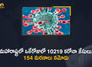 Corona Positive Cases in Maharashtra, Corona Positive Cases In Maharashtra, Maharashtra, Maharashtra , Maharashtra Corona, Maharashtra Corona Cases, Maharashtra Corona Deaths, Maharashtra Corona Positive Cases, Maharashtra Coronavirus, Maharashtra Coronavirus Positive Cases, Maharashtra Coronavirus Updates, Maharashtra COVID 19,mango news