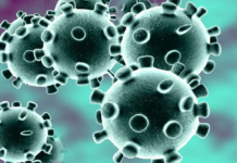 Corona Positive Cases in Maharashtra, Corona Positive Cases In Maharashtra, Maharashtra, Maharashtra , Maharashtra Corona, Maharashtra Corona Cases, Maharashtra Corona Deaths, Maharashtra Corona Positive Cases, Maharashtra Coronavirus, Maharashtra Coronavirus Positive Cases, Maharashtra Coronavirus Updates, Maharashtra COVID 19,mango news