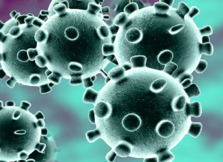 Corona Positive Cases in Maharashtra, Corona Positive Cases In Maharashtra, Maharashtra, Maharashtra , Maharashtra Corona, Maharashtra Corona Cases, Maharashtra Corona Deaths, Maharashtra Corona Positive Cases, Maharashtra Coronavirus, Maharashtra Coronavirus Positive Cases, Maharashtra Coronavirus Updates, Maharashtra COVID 19,mango news