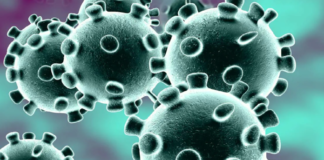 Corona Positive Cases in Maharashtra, Corona Positive Cases In Maharashtra, Maharashtra, Maharashtra , Maharashtra Corona, Maharashtra Corona Cases, Maharashtra Corona Deaths, Maharashtra Corona Positive Cases, Maharashtra Coronavirus, Maharashtra Coronavirus Positive Cases, Maharashtra Coronavirus Updates, Maharashtra COVID 19,mango news