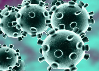 Corona Positive Cases in Maharashtra, Corona Positive Cases In Maharashtra, Maharashtra, Maharashtra , Maharashtra Corona, Maharashtra Corona Cases, Maharashtra Corona Deaths, Maharashtra Corona Positive Cases, Maharashtra Coronavirus, Maharashtra Coronavirus Positive Cases, Maharashtra Coronavirus Updates, Maharashtra COVID 19,mango news