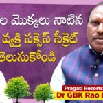 Business Icon Pragati Resorts Chairman Dr GVK Rao Exclusive Interview,Dr GVK Rao Exclusive Interview,Dr GVK Rao,Pragati Resorts,Pragati Resorts Chairman Dr GVK Rao,Dr GVK Rao Interview,OkTv,Ok Tv,Ok tv interviews,ok tv latest interview,pragati resorts hyderabad,pragati resorts medicinal plants,pragathi resorts,celebrity interviews telugu,gvk rao,celeb interviews 2021,Pragati Resorts Chairman Dr GVK Rao Interview,success stories,success stories of famous people