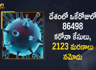 Coronavirus Cases, coronavirus cases in india state wise, coronavirus cases in india today state wise, coronavirus cases india, coronavirus india, India Coronavirus, India Covid-19 Updates, New Confirmed Corona Cases, total corona cases in india today, total corona positive in india,mango news