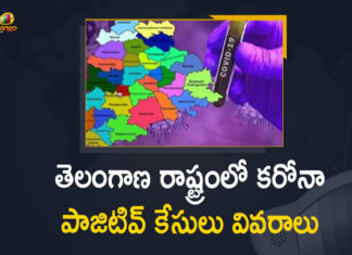 Coronavirus, Coronavirus Breaking News, Coronavirus Latest News, COVID-19, telangana, Telangana Coronavirus, Telangana Coronavirus Cases, Telangana Coronavirus Deaths, Telangana Coronavirus New Cases, Telangana Coronavirus News, Telangana New Positive Cases, Total COVID 19 Cases,mango news
