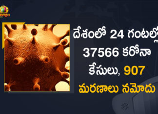 Coronavirus Cases, coronavirus cases in india state wise, coronavirus cases in india today state wise, coronavirus cases india, coronavirus india, India Coronavirus, India Covid-19 Updates, New Confirmed Corona Cases, total corona cases in india today, total corona positive in india,mango news