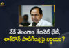 Telangana Cabinet to Meet Today, Lockdown, Covid Situation, Rythu Bandhu will be Discussed