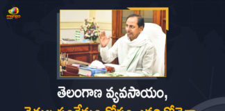 Allocate 50:50 Krishna water for AP TS, AP-TS Water Disputes, CM KCR Held High Level Review Meeting on Irrigation Department, CM KCR Review, CM KCR Review on Irrigation Department, Irrigation Department, KCR High Level Review meeting, Krishna Water Disputes Tribunal, Mango News, Telangana AP Water Disputes, Telangana Chief Minister, Telangana will start using 50% water in Krishna, Water Disputes, water disputes between Andhra and Telangana